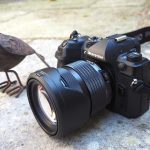 OM System OM-1 Mark II Review_695e363d2ecf3.jpeg